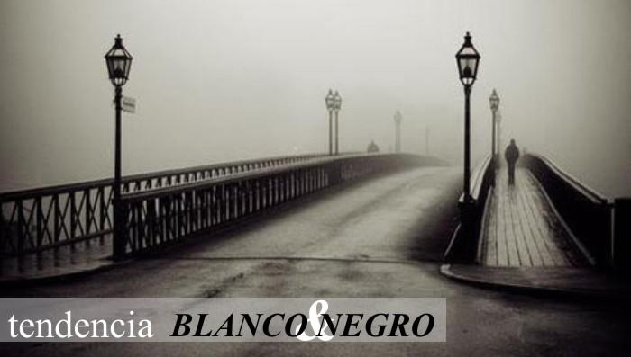 TENDENCIAS PRIMAVERA 2013 - la vida en blanco y negro