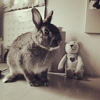 AnimaLove #1