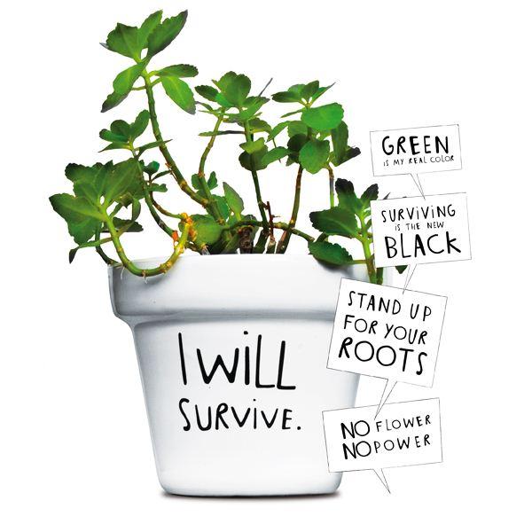 Off to Madrid: I will survive