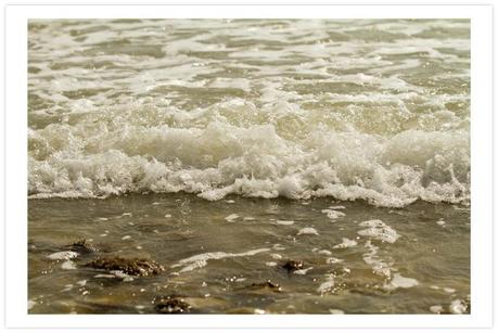  photo 10-ruffles--volantes-10_zps7a2f81e4.jpg