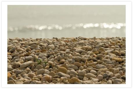  photo 11-ruffles--volantes-11_zps656fc670.jpg