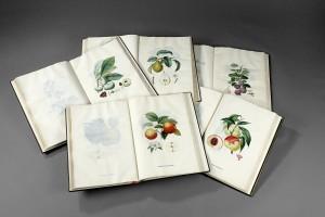 10 Libros raros y sus exorbitantes precios