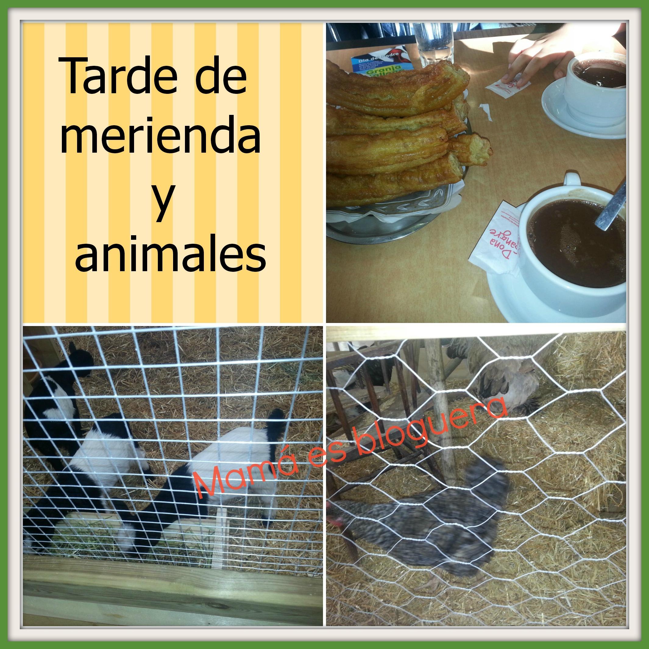 MeriendaYAnimales