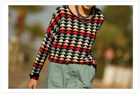  photo 3Printed_sweater--Jersey_estampado-3_zps69757fbb.jpg