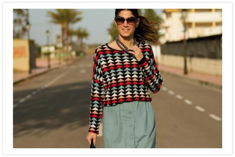  photo 8Printed_sweater--Jersey_estampado-8_zps8a056018.jpg