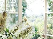 primavera! Today It's spring!