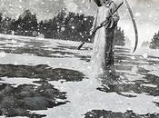 CHILDREN BODOM: Halo Blood