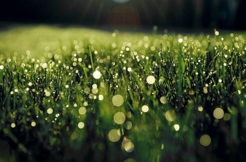 La pirmavera y SuiteBlanco