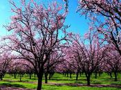 "Cuídate, eres mayor tesoro"