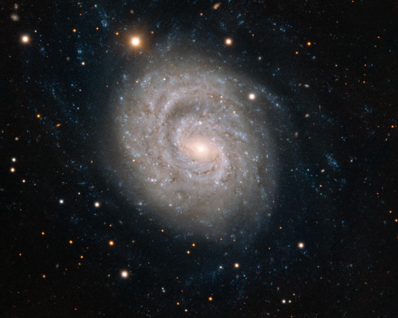 Una belleza espiral adornada con una supernova que se consume