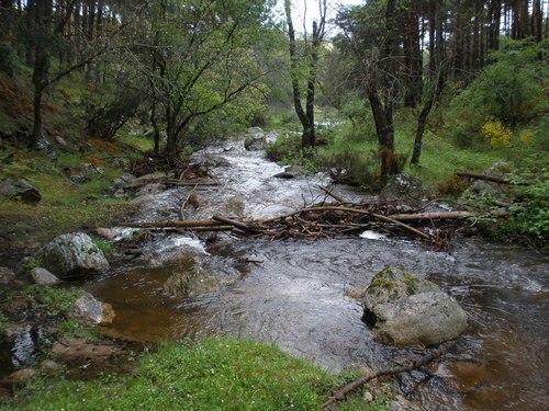 Arroyo Sestil del Maillo 