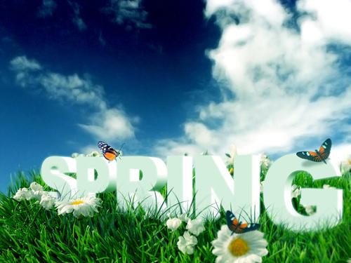 Welcome Spring