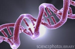 Molécula de ADN. Representación artística computacional de la molécula conformando su estructura de doble hélice.