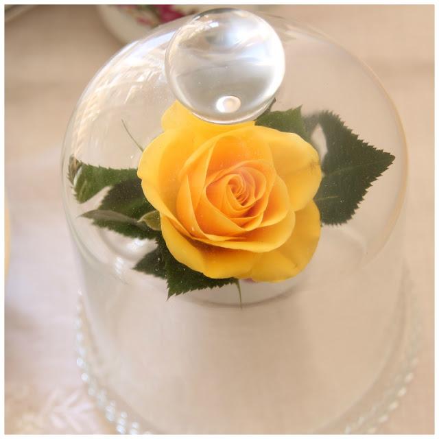 Bienvenida Primavera - Welcome Spring.