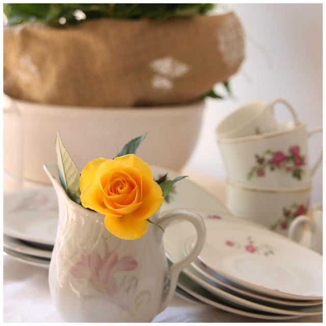 Bienvenida Primavera - Welcome Spring.