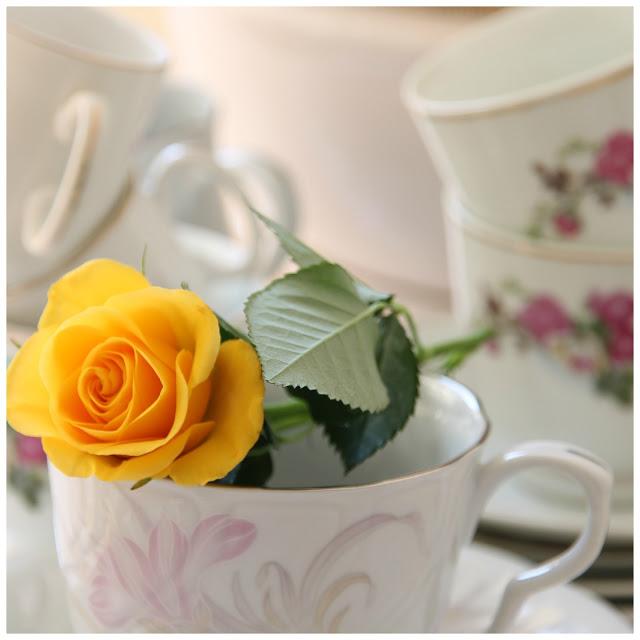 Bienvenida Primavera - Welcome Spring.