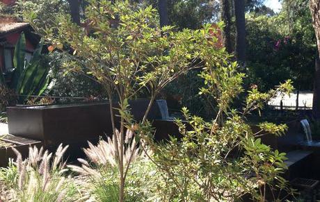 Paisajes Reales con... Soledad Martínez Muñoz