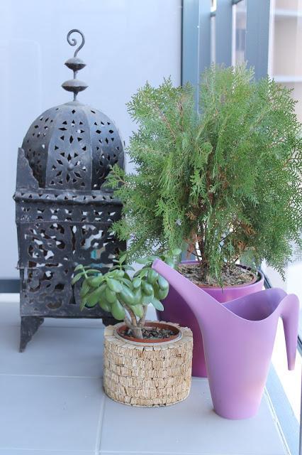 Quedamos en primavera