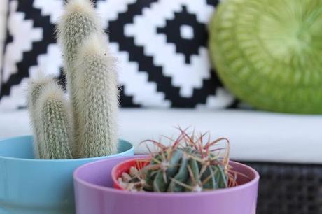 Quedamos en primavera