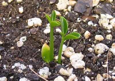Comer en climas revueltos Comer en climas revueltos