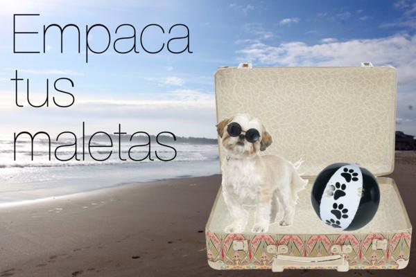 Empaca tus maletas!