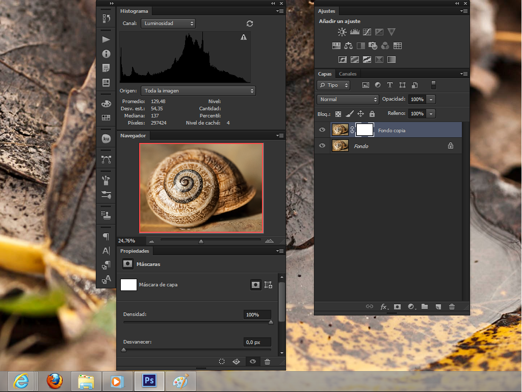 Enfocando digitalmente con Phoshop: Máscara de enfoque.