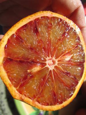 Limonada de Semana Santa