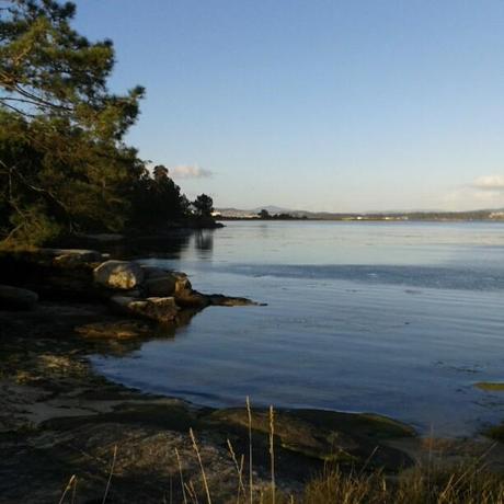 Mi Semana en Imágenes