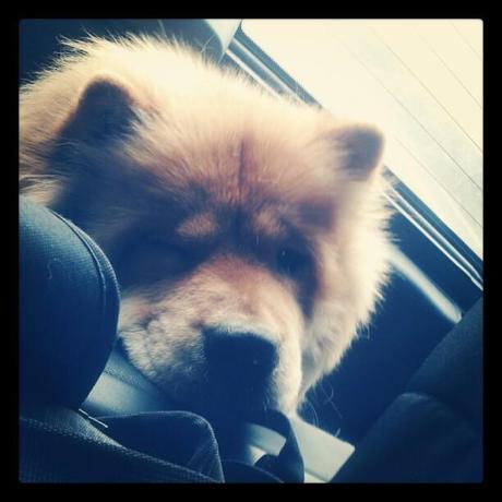 Mi Semana en Imágenes