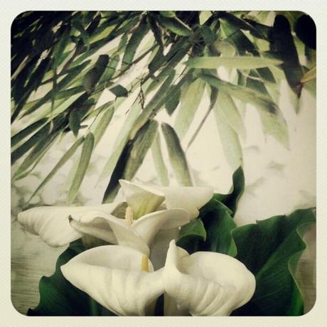 Mi Semana en Imágenes