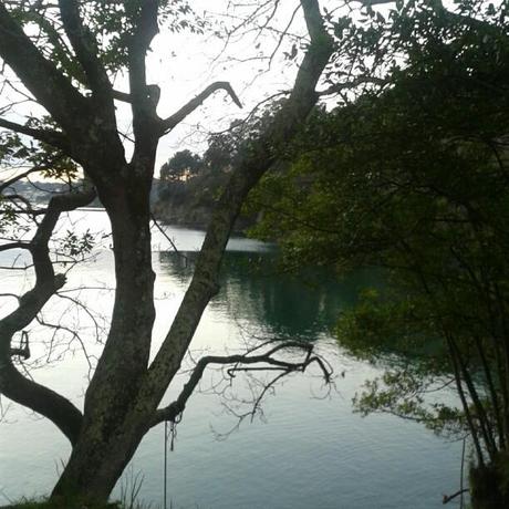 Mi Semana en Imágenes