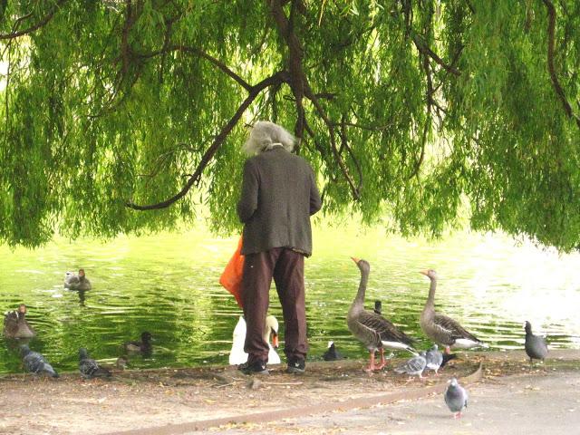 Regent´s Park: jardines, casonas e ingleses semicalatos