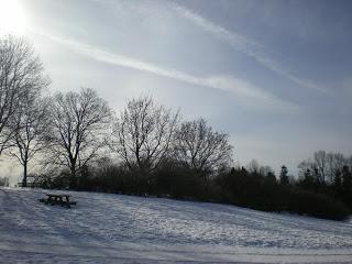 Sorteo de la Biblioteca Virtual Miguel de Cervantes