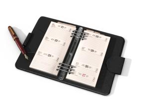 IPS Cronograma de Pago de Marzo 2013