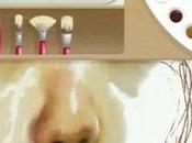 Demostración Fresh Paint para próximo Microsoft, Windows Blue