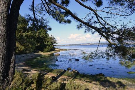 Outfit Low Cost: Spring!!