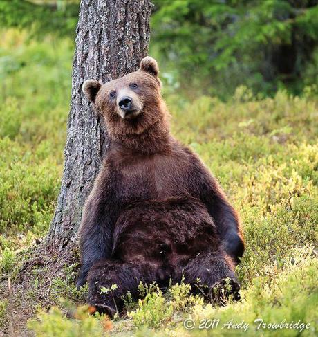 como me siento yo un viernes por la tarde