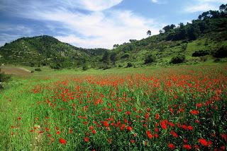 CULTURA Y NATURALEZA: Albalate de Zorita (Guadalajara)