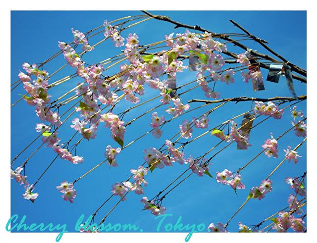 Tokyo: spring inspiration!!