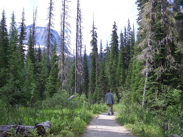 Parque Nacional de Banff y PN Yoho - Montañas Rocosas