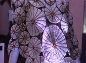 Inauguración Lifweek Fashion Night