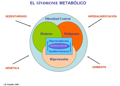 EL SÍNDROME METABÓLICO