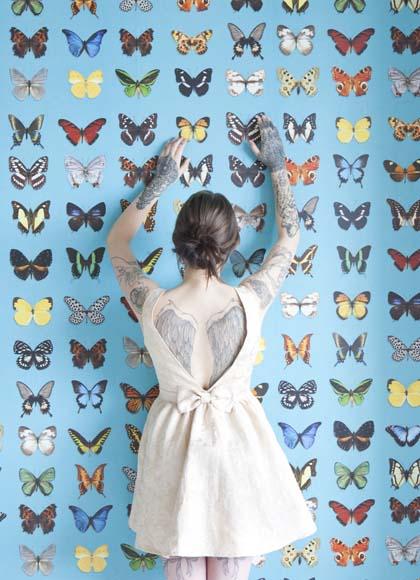 wallpaper con mariposas y fondo azul