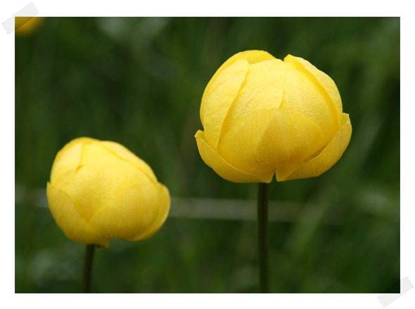 Paseo por el Valle de Tena