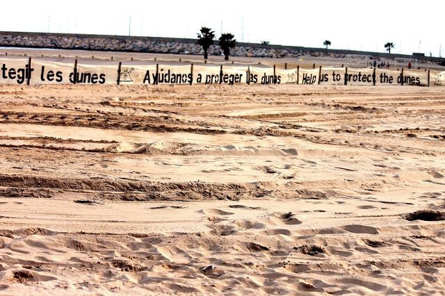 Denim day in the dunes