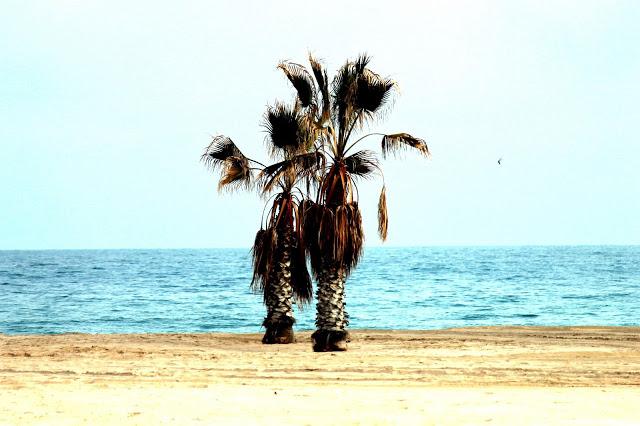 Denim day in the dunes