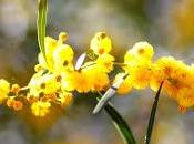 primavera vuelve siempre