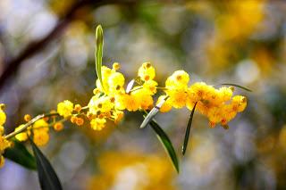 La primavera vuelve siempre