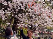 Llega primavera 2013!!!
