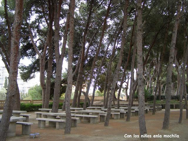 La pinada de los Salesianos de El Campello